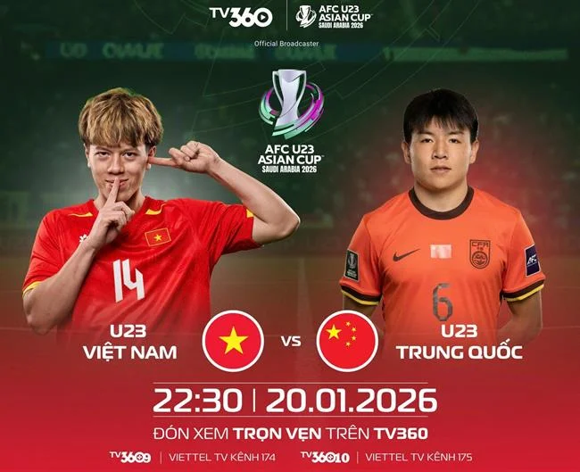 Giấy phép hoạt động từ các tổ chức uy tín